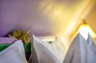 Гостевой дом Rosen Villa Sibiu Сибиу Стандартный двухместный номер с 1 кроватью-3