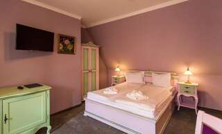 Гостевой дом Rosen Villa Sibiu Сибиу Стандартный двухместный номер с 1 кроватью-19