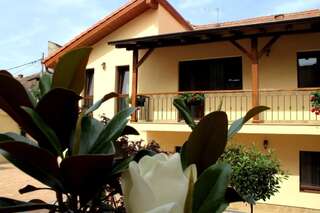 Гостевой дом Rosen Villa Sibiu Сибиу Стандартный двухместный номер с 1 кроватью-32