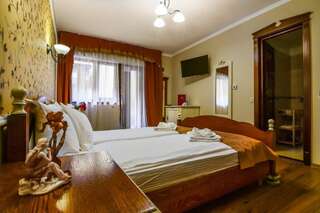 Гостевой дом Rosen Villa Sibiu Сибиу Стандартный двухместный номер с 1 кроватью-38