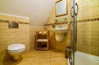 Гостевой дом Rosen Villa Sibiu Сибиу Стандартный двухместный номер с 1 кроватью-41