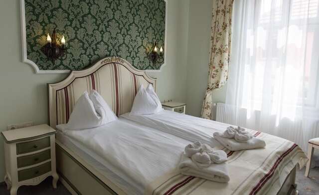 Гостевой дом Rosen Villa Sibiu Сибиу-61