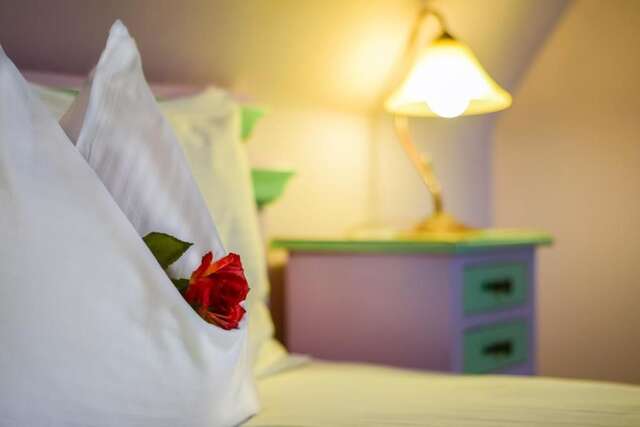 Гостевой дом Rosen Villa Sibiu Сибиу-80